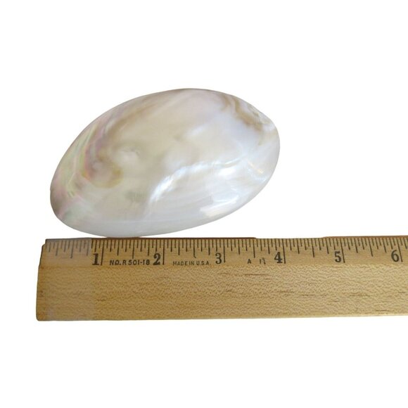 Vintage Charmant Iridescent Shell Buckle and Stretch Belt - Picture 5 of 7